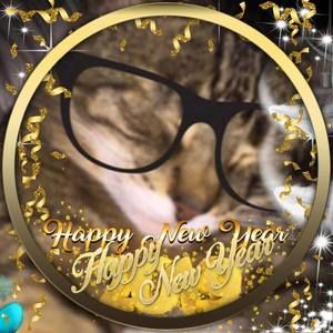 Meet your Posher, Randall stephanie